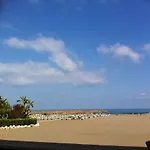 Oasis *