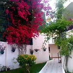Oasis * 토레몰리노스