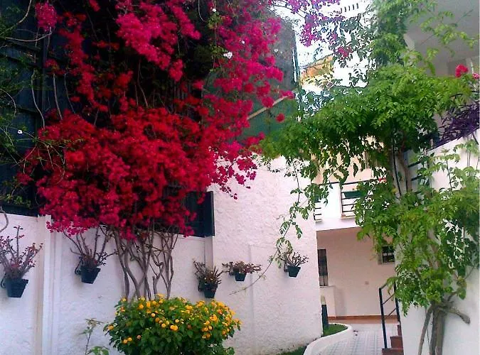 Oasis * Torremolinos